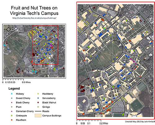 VT Campus Fruit Map